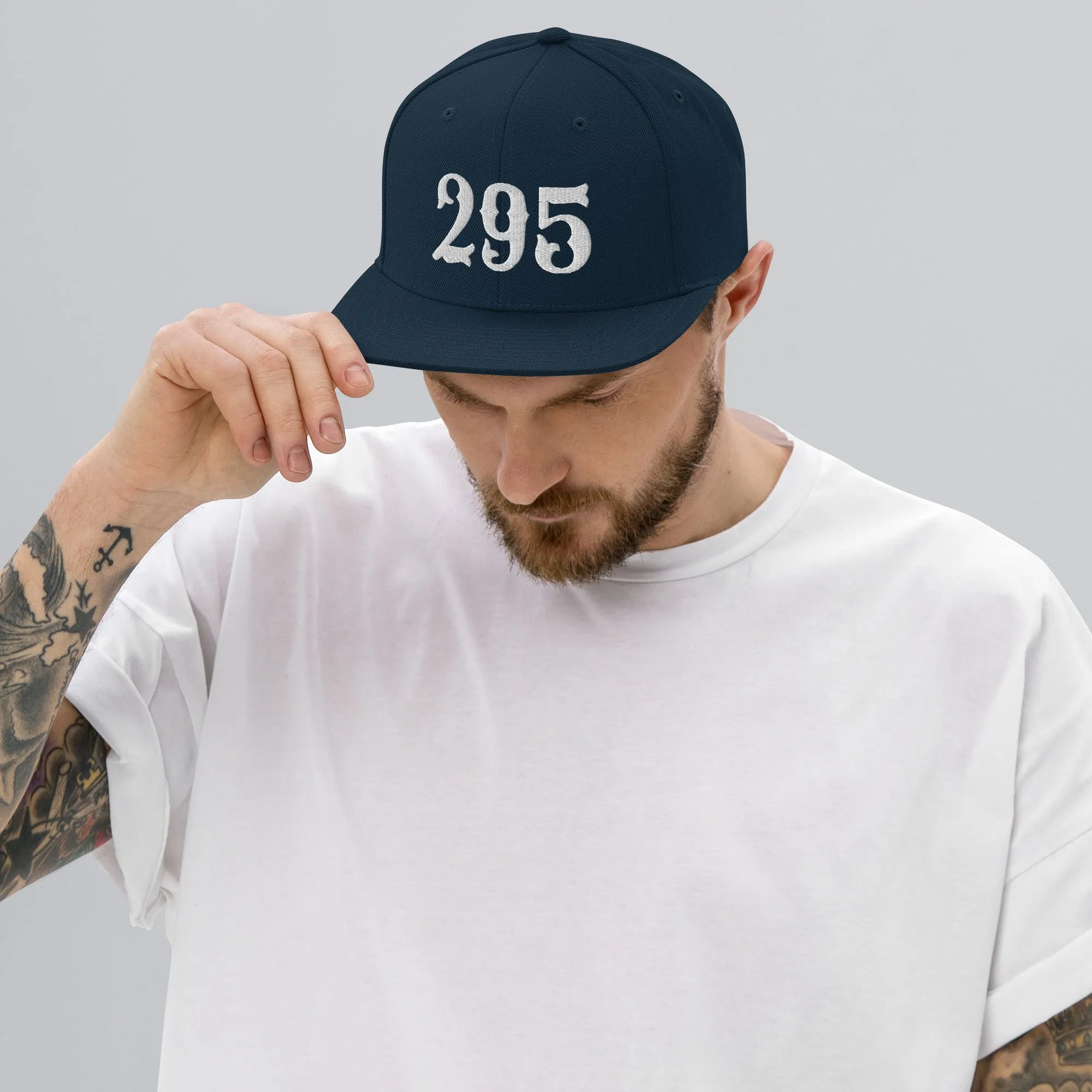 295 Snapback Hat