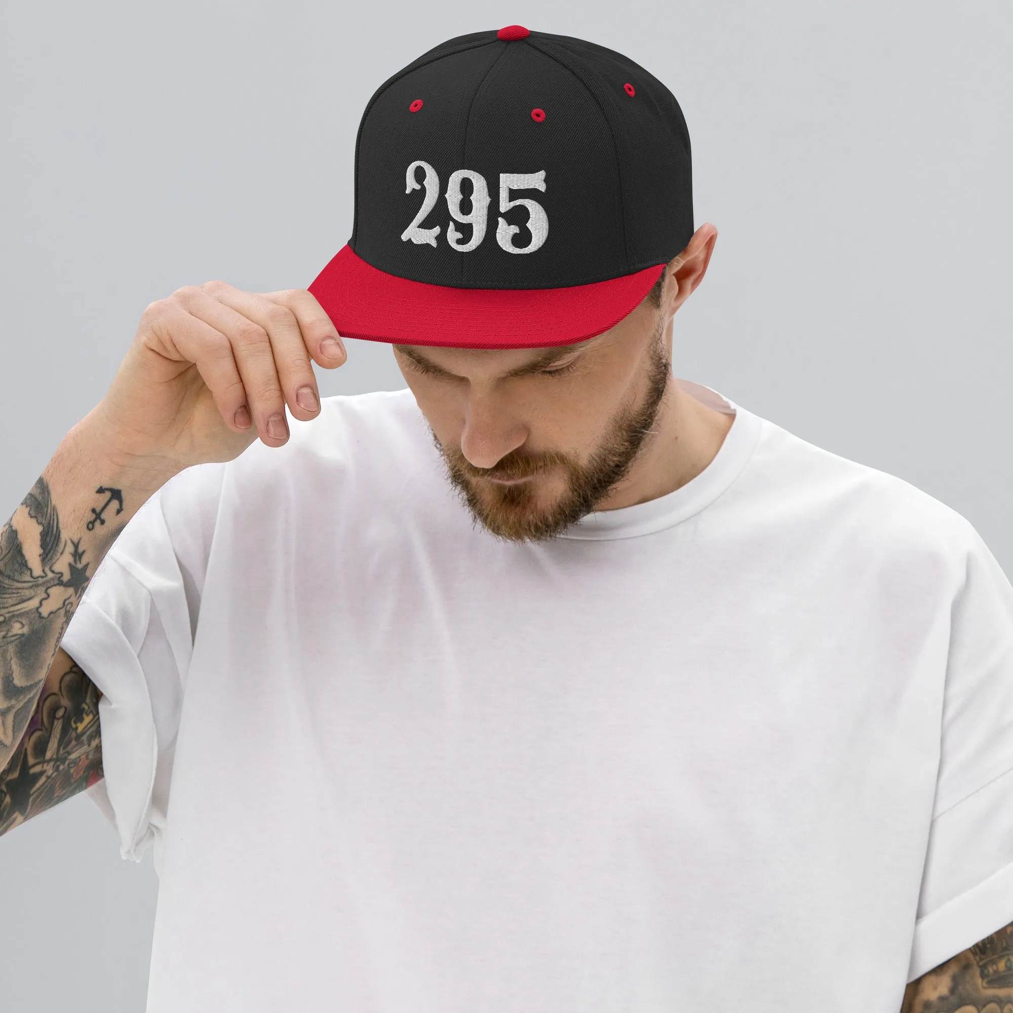 295 Snapback Hat