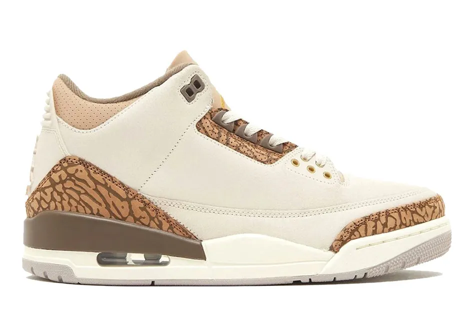 Air Jordan Retro 3 Palomino (GS)