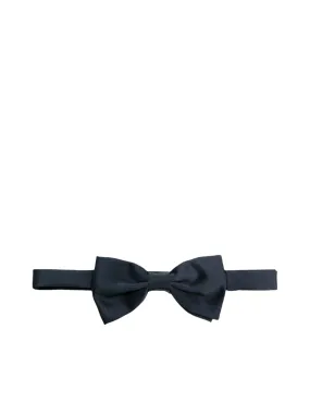 Classic blue bow tie