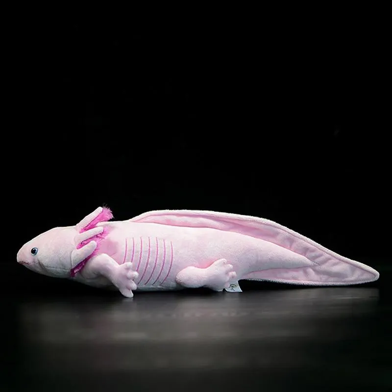 Cute Axolotl Soft Stuffed Plush Toy Realistic Simulation Ambystoma Mexicanum Pink Dinosaur Animal Model Doll For Kids Audlt Gift