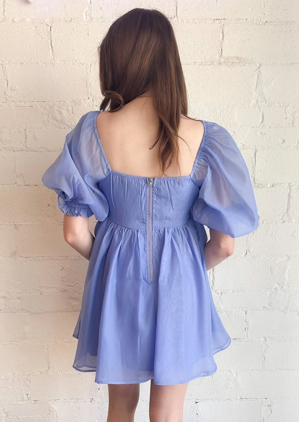 Enchanted Puff Sleeve Dress